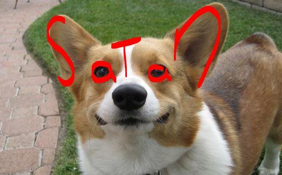 x9spite's tweet image. @SNCKPCK not when they're satan !!