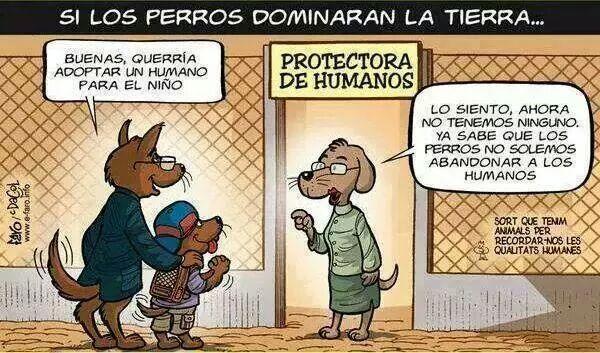 mpdelasheras's tweet image. Si los perros dominaran la tierra... #humorperruno