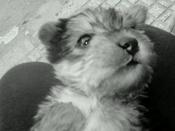 Mii gordiitooh(: