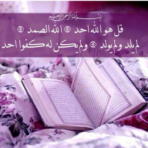markir322 tweet picture
