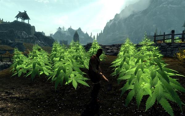 All the mods 9 русификатор. Skyrim растения. Растения Скайрима моды. Скайрим мод на растительность. Мод на растения Skyrim.
