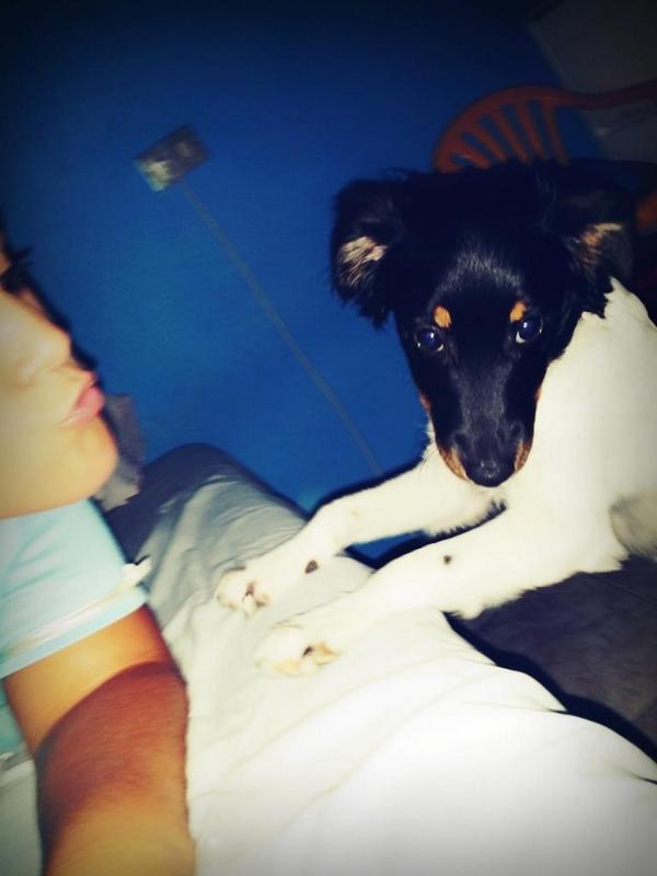 nuria171211's tweet photo. A dormir con mi gorda! 🐶💕 http://t.co/QrBrpJVzKP