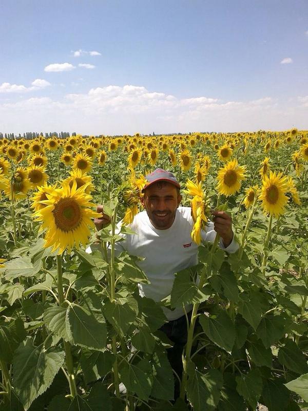 m.ali öz (@malimmalim) on Twitter photo 