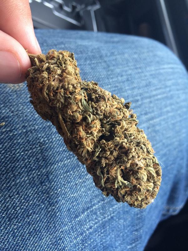 ThoughtsEndless's tweet image. 