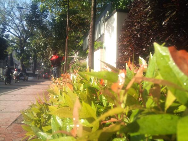 sman2bdg_'s tweet photo. taman vertical @sman2bdg_ tos bersih tina reklame @coblongjitu @AntonSugiana @ridwankamil  Bdg Bersih Bdg Juara http://t.co/sfYsmTuHfz