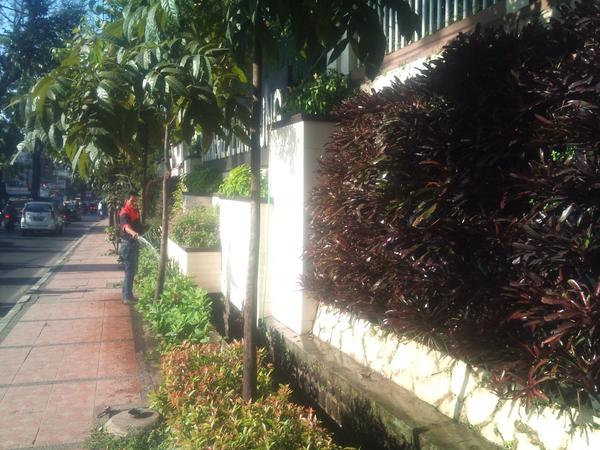 sman2bdg_'s tweet photo. baby sister vertical garden @sman2bdg_ @CoblongJITU @AntonSugiana @ridwankamil http://t.co/am1pihnW4h