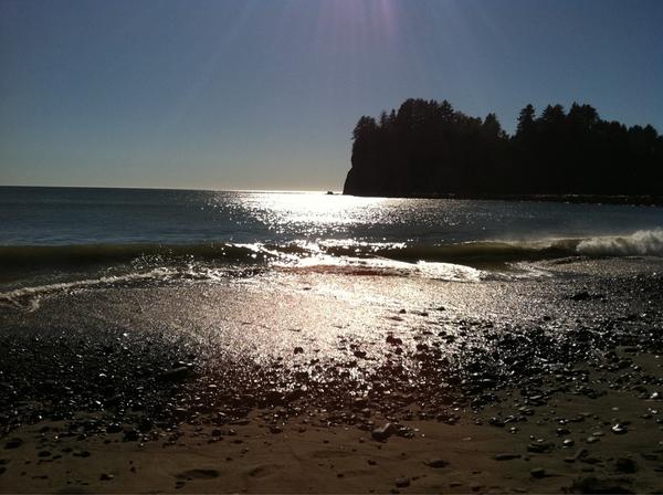 twijacquie's tweet photo. That's a wrap Forks, First Beach & La Push #smd2014 #ForksTrip @twilightgirlpdx http://t.co/fyZOuv2GmR