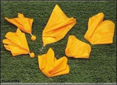 cpietranton's tweet image. #NFL #flaghappy #FlagProblems #flagfootball next year #FireGoodell