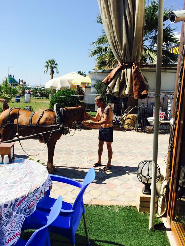 serol emlek tweet media