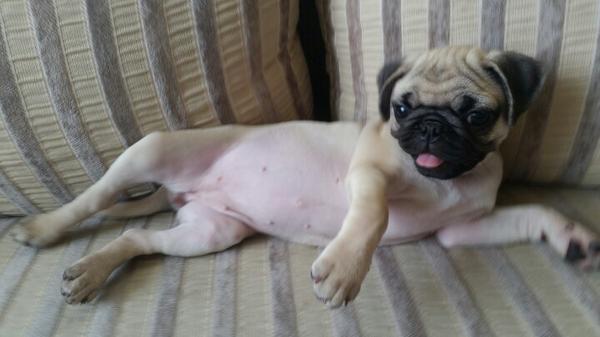 ggDoA's tweet photo. Draw me like one of your french girls. http://t.co/J58wE0FJN7