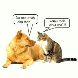 <a href="/Randotts/">randy aditya</a> <a href="/donnyger/">Doni Wardana</a> yg ini juga hahaha