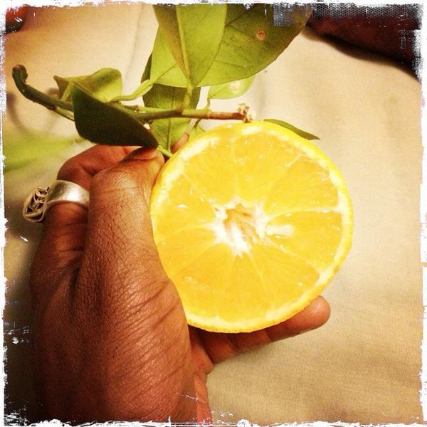 damnnearraw's tweet photo. “@IETEF: #DAMNNEARRAW  damnnearraw #LionsLemonade by #AlkemiaandDjCavem

2 whole lemons, peeled (I leave a bit… http://t.co/YNDsjvEVeK
