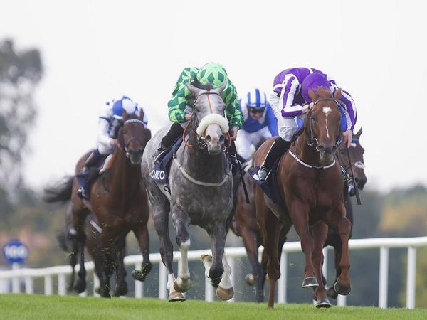 RacingPost's tweet photo. Sam Walker argues that Australia actually had a great weekend (even though he lost) http://t.co/7hLWjuYOWd http://t.co/YPAEOd3hrO