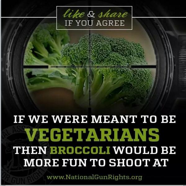 Damian McCollum tweet media
