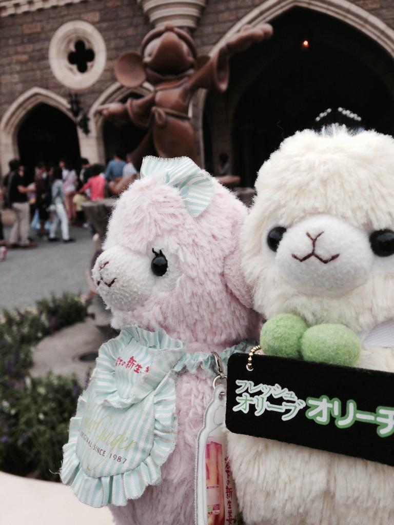 安い購入 Bxk8KR5CUAAOXo9.jpg:large その他