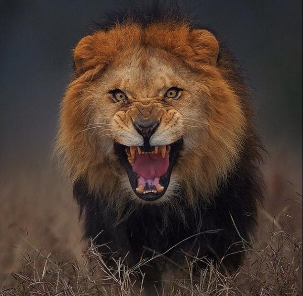 _Nature_Scenes's tweet image. 