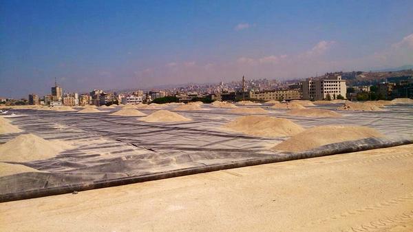 Helen Clark tweet media