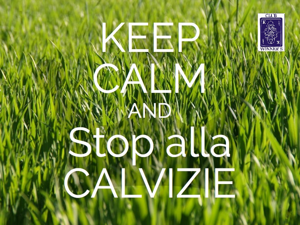 FabioBonfa's tweet photo. http://t.co/1GaEDRHeK0