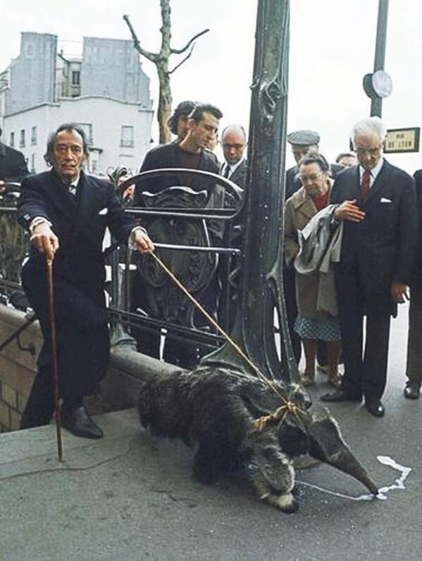 iHistorico's tweet photo. Salvador Dalí paseando su Oso Hormiguero en Paris, 1969. http://t.co/YKF1kbNcZE