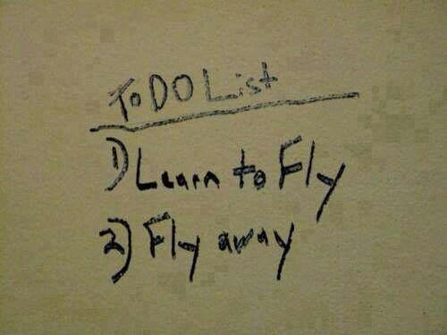 FlyAviationServices tweet media