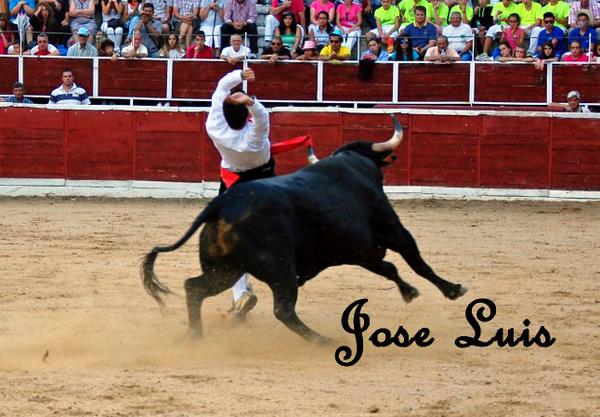 Asi ajusto <a href="/javiolmoss/">Javi Olmos</a> para llevarse el concurso en Nava de la Asuncion. Enorabuena torero!!!!