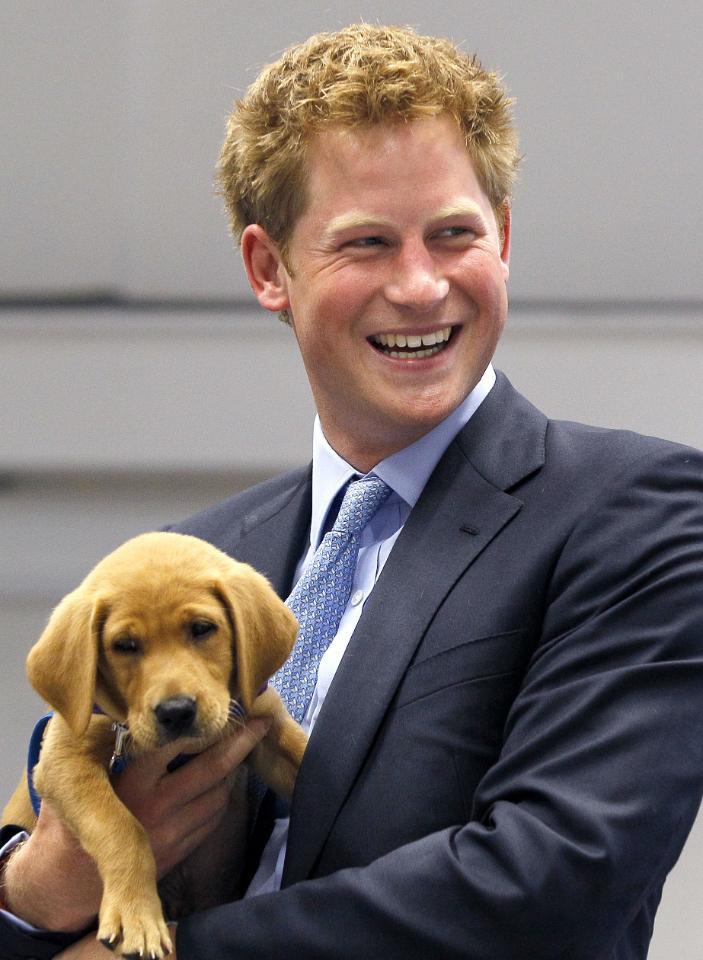 Happy birthday, Prince Harry! 30 reasons this ginger is the hottest royal ever:  