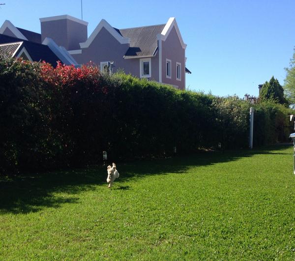 nahirludmila's tweet image. #liloenplenosalto #elasticboy