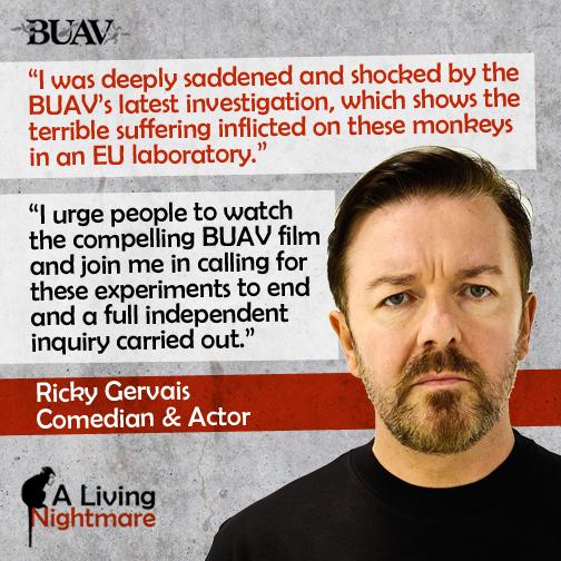 thebuav's tweet photo. Thanks v much to @rickygervais for support of our investigation into the use of primates at a leading EU laboratory http://t.co/Z3mfSX9ozg
