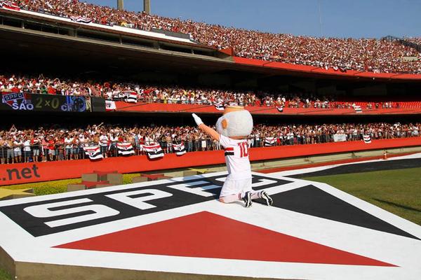 Gato invade campo e dá olé em seguranças no Campeonato Inglês - Fotos - R7  Futebol