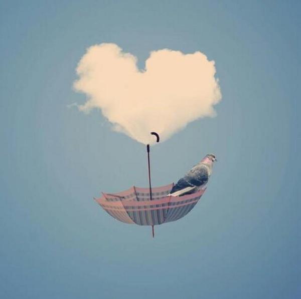 AsMejalli's tweet photo. ليس كل فراق مُرادف للحزن!
قد يكون نافذة جديدة لطريق محفوف بِالفرح،
قناعة قد تعلمنا كيف نجيد الابتعاد بـِ (رقيّ)* http://t.co/9DSQjAie4P