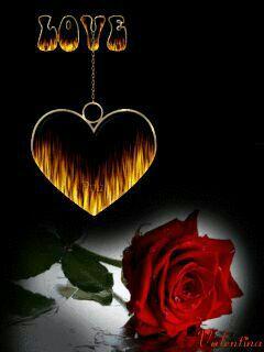 علي السلطان (@35ba81004ad74af) on Twitter photo 