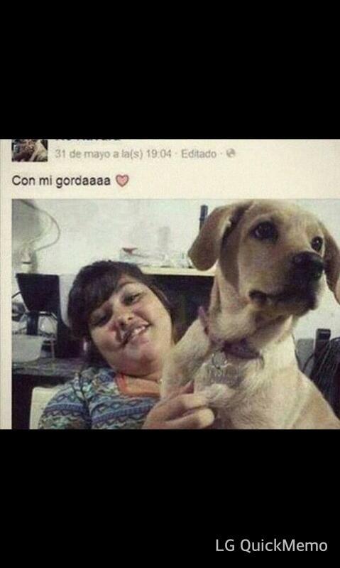 TodoEsHumor's tweet photo. Me parece increible que el perro escriba estados! http://t.co/LP5VhrLFmC