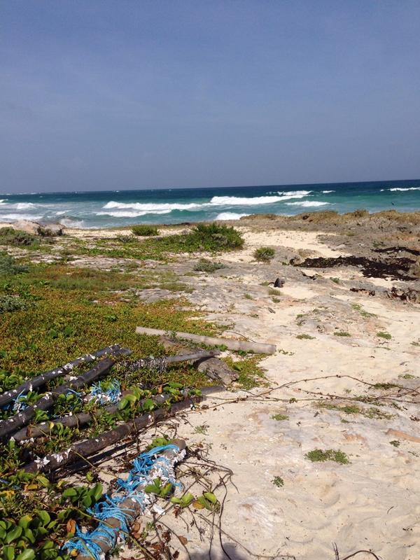 GoKattyGlow's tweet photo. #PlayaBox en #Cozumel #AventuraEnCozumel http://t.co/Q3BzbYcbmk