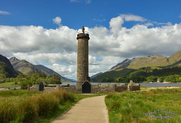 David Tomlinson tweet media