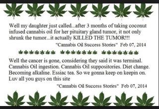 #Cannabis oil success stories 🌱