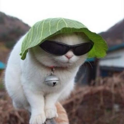 자다일어나서 뜬금.
아 답답해ㅠㅠ