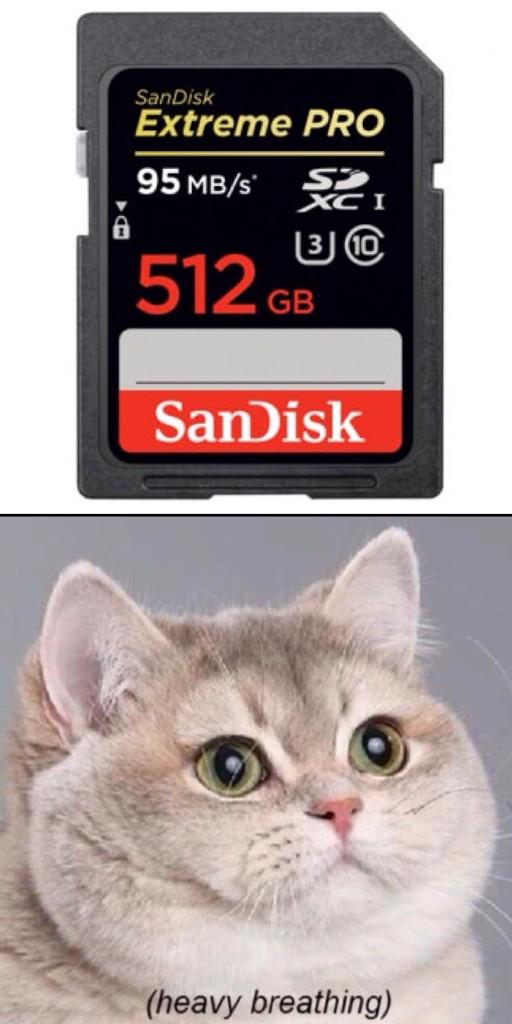 Capargus's tweet image. Videographers understand