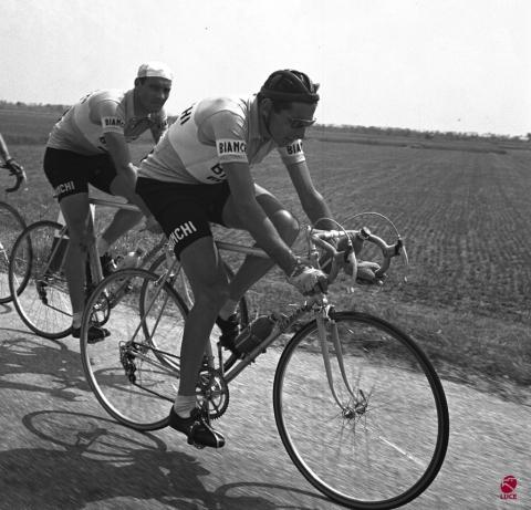 What Did Fausto Coppi Look Like  in 1952 