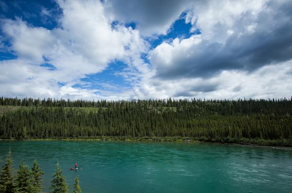 SUPthemag's tweet image. In the latest #FieldNotes presented by @WaveJet, two paddlers take on the #YukonRiver: bit.ly/1ph1yPd