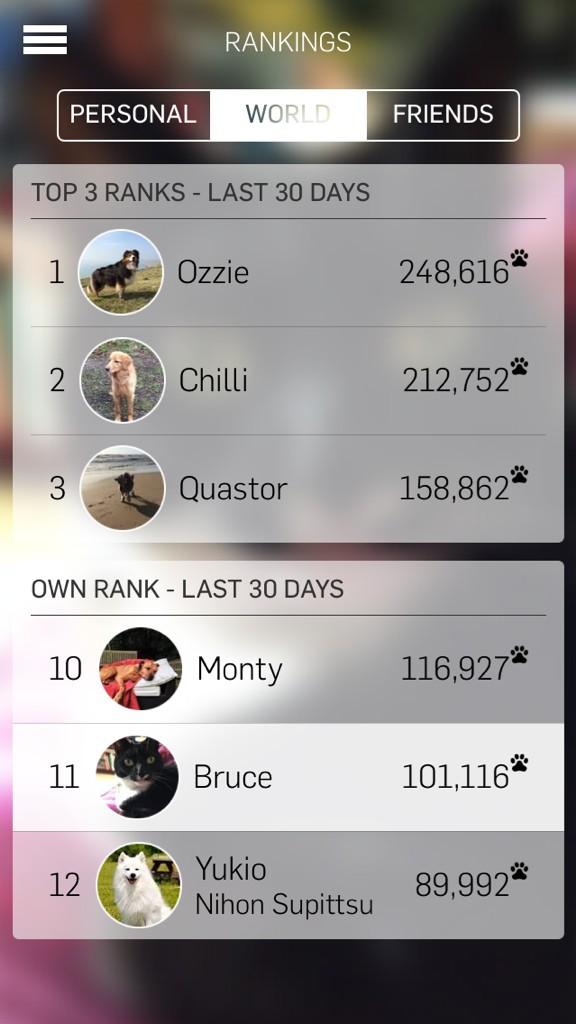 bruceisgroovy's tweet photo. Thanx @Tractive Mom was  wondering if theres a way she can find out if there r other cats in the top 20 world scores http://t.co/y3wrfa6PPb