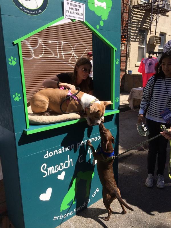 One more from our #pitbullkissingbooth at the #badassfallfest - talk about Pibble love! @BadassBK