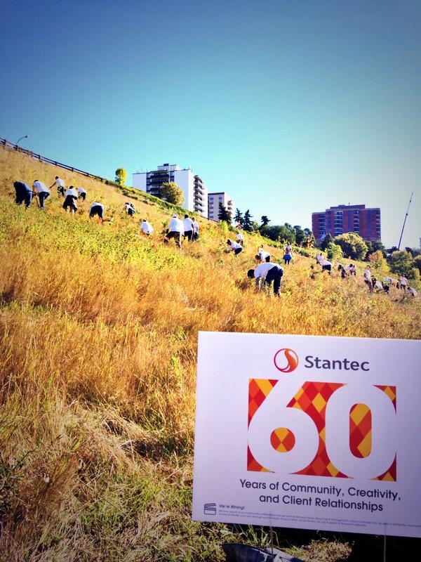amywowk's tweet photo. Beautiful #yeg day to help plant 950 native trees+shrubs for @stantec #stantecinthecommunity #watchoutforwasps http://t.co/uf83nyZpfL