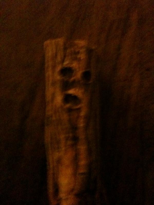 bonnemaman's tweet photo. Wood you stop...! http://t.co/eVAWorBWwT