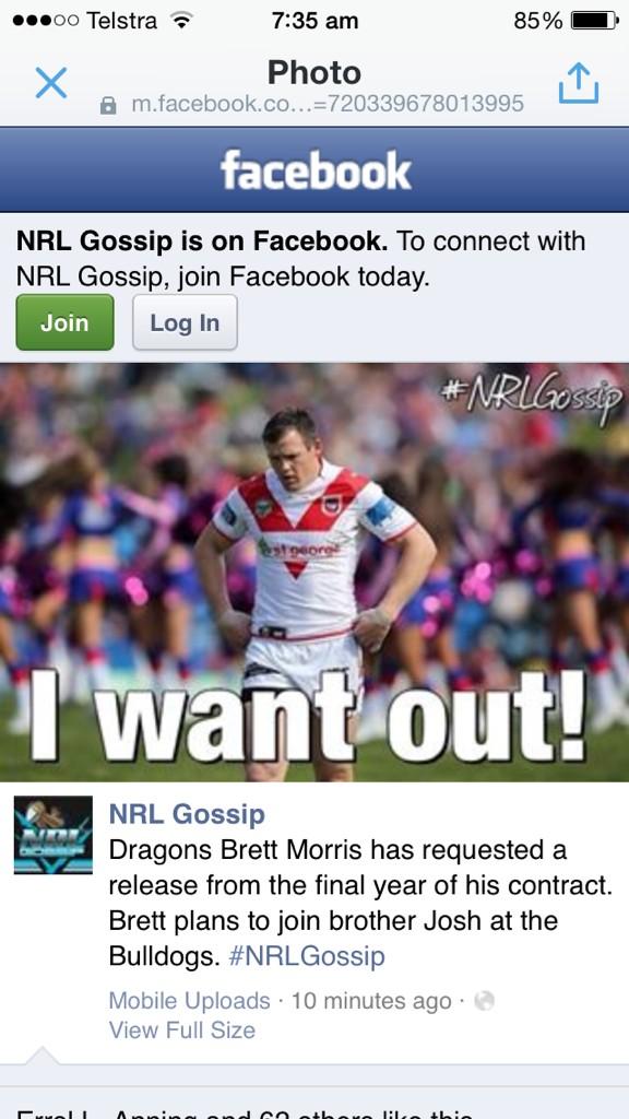 TheGTrain2016's tweet image. @RLW_Mole any truth in this Grand Master Moley?? #MoleyMail #RodentReport