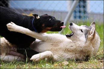 d_files's tweet image. А вот тебе, видел?)))