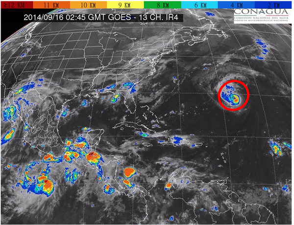 Ver imagen en Twitter Ver imagen en Twitter