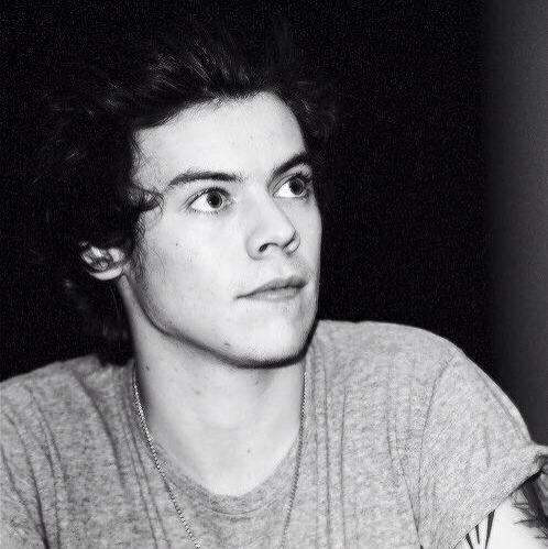 bcstcn's tweet image. Can I just say that I give Harry Styles the right to do anything he wants to me any day of the week.