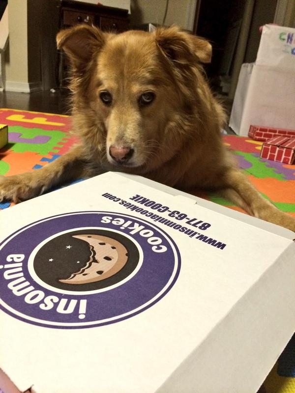 telesara's tweet photo. The furry kids are skeptical but happy to support @RedPawRelief with @insomniacookies #swimpy #brando http://t.co/FOCNjIbj69