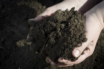 HealthwithKWC's tweet photo. Feeling depressed? Maybe dirt can help! http://t.co/w2TaQZbVin
