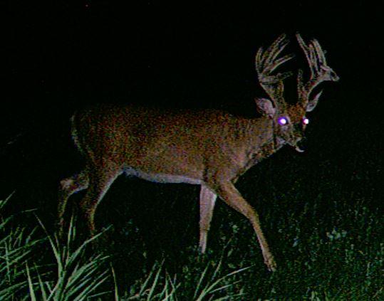 callpredators's tweet image. 